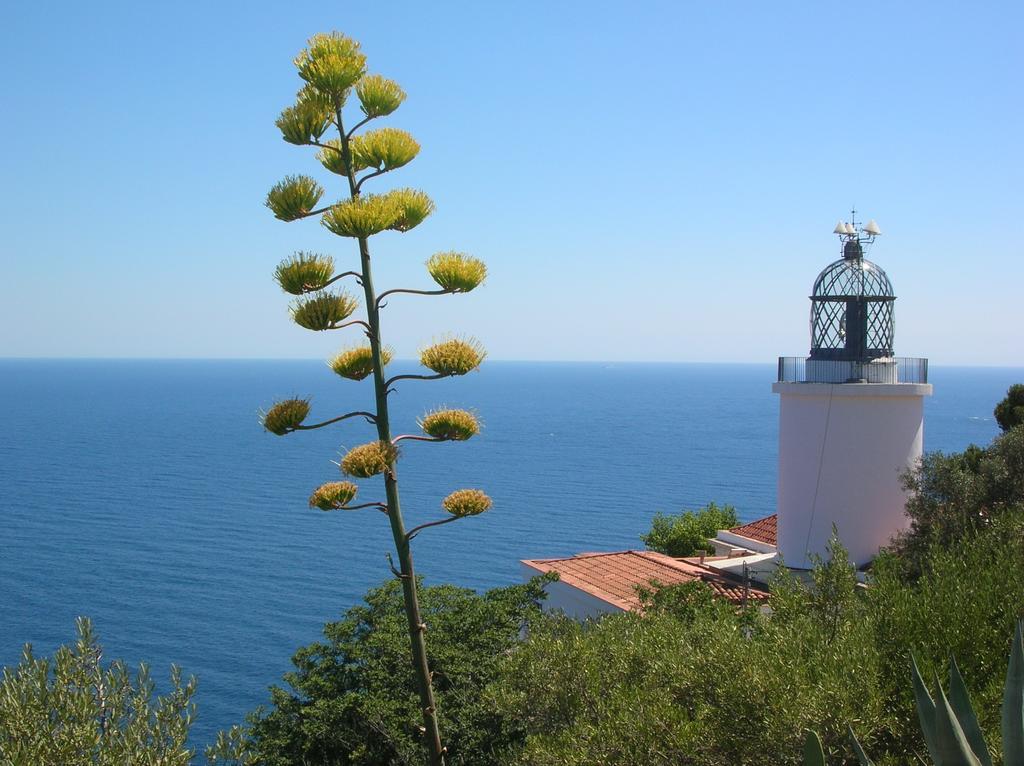 Apartament Antic Plankton - Calella Palafrugell - Free Parking, Beach, Wifi, Perfect Holidays Calella De Palafrugell Bagian luar foto